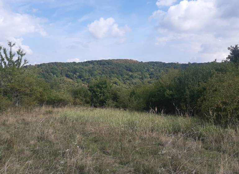 Pozemok 5.200 m2 , šírka 35 m, Horné Jabloňovce (SM - 849)   - Krajina s trávnatým porastom a stromami v Rekreačných pozemkoch, Horných Jabloňovciach, Jabloňovce.