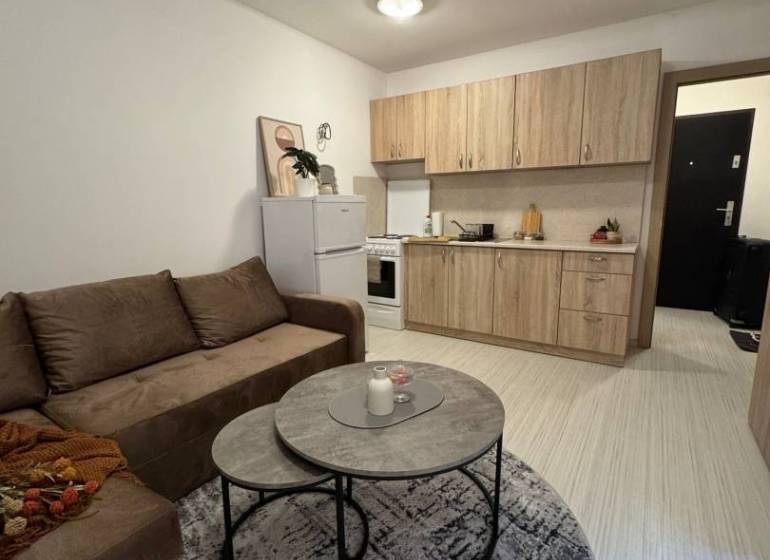 Vám ponúka garsonku vo VYHĽADÁVANEJ lokalite m - Obývací priestor s podlahou s dreveným dekorom v Rekreačnom apartmáne, útulná pohovka a konferenčný stolík.