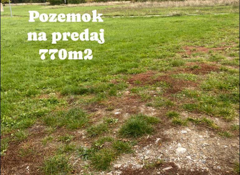 Stavebný pozemok priamo v Michalovciach - všetky IS - 770 m2 - Trávnatý pozemok na predaj (770 m²) vhodný na bývanie v Michalovciach s viditeľnými hnedými škvrnami.
