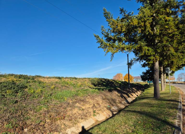 VELČICE - Stavebný pozemok, od 650 m2, okr. Zlaté Moravce - Pozemky - bývanie v obci Velčice, trávnatý svah a stromy popri ceste.