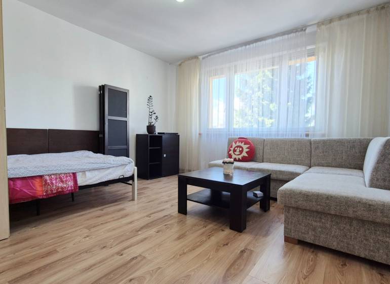 PRIESTRANNÝ 1-IZBOVÝ BYT, 38 M², BANSKÁ BYSTRICA - SITNIANSKA - Obývacia časť 1-izbového bytu s pohovkou, stolíkom a podlahou s dreveným dekorom.