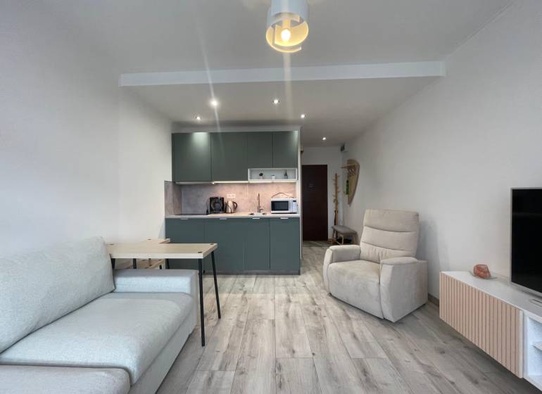 PRENÁJOM, garsónka na Jegorovovom námestí, Košice-Dargovských hrdinov - Garsónka s kuchynským kútom, sedačkou a kreslom, podlaha s dreveným dekorom.