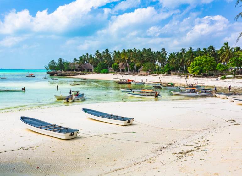 Pozemok 9000 m2 len 100 m od pláže v Kizimkazi - Pláž s loďami a palmami v Kizimkazi, ideálne pre komerčné pozemky.