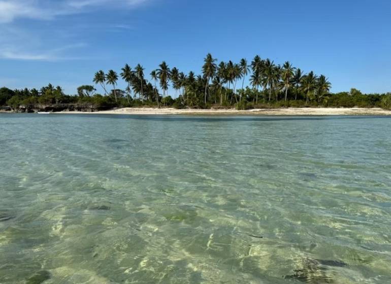 57000 m2 nezkrotného luxusu: Pozemok na výstavbu na pláži na Zanzibare - Priezračná voda a palmy na pláži v Kizimkazi pre Pozemky - komerčné.