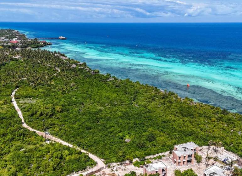 3,2-hektárový pozemok na útese, Kizimkazi, Zanzibar - Pohľad na pobrežné pozemky - komerčné v Kizimkazi s výhľadom na oceán.
