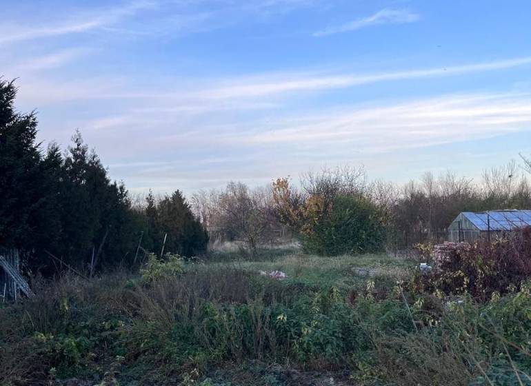  Rodinný dom na predaj  – Kajal (okres Galanta) - Záhrada pri rodinnom dome v Kajali so zeleňou a modrou oblohou.