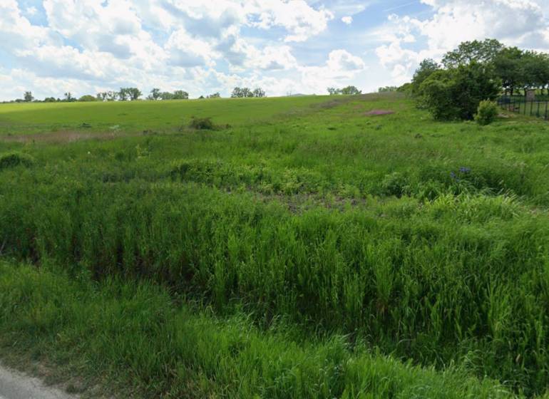 Na predaj : stavebný pozemok  Vranov nad Topľou - Pozemok na bývanie v Lomnickej, Vranov nad Topľou, s trávnatou plochou a kopcovitou krajinou.