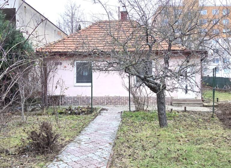 Na predaj rodinný dom Levice!. - Rodinný dom v Leviciach na ulici 29. augusta s predzáhradkou a stromy.