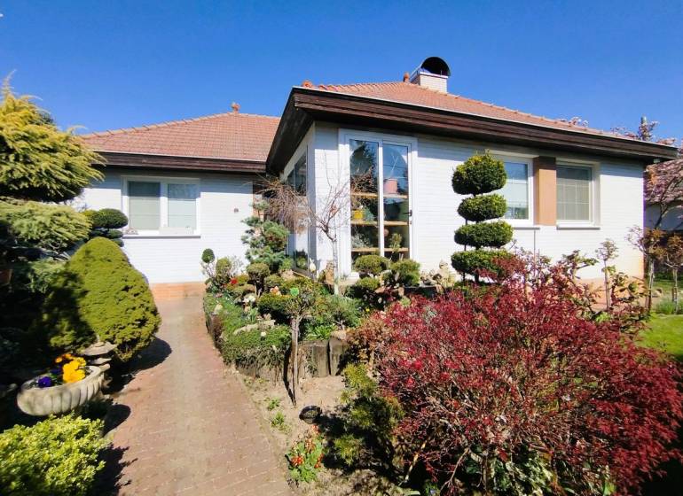 Predaj RD v Šali s bazénom - Rodinný dom v Šali s upravenou záhradou, cestičkou a zeleňou pod modrou oblohou.