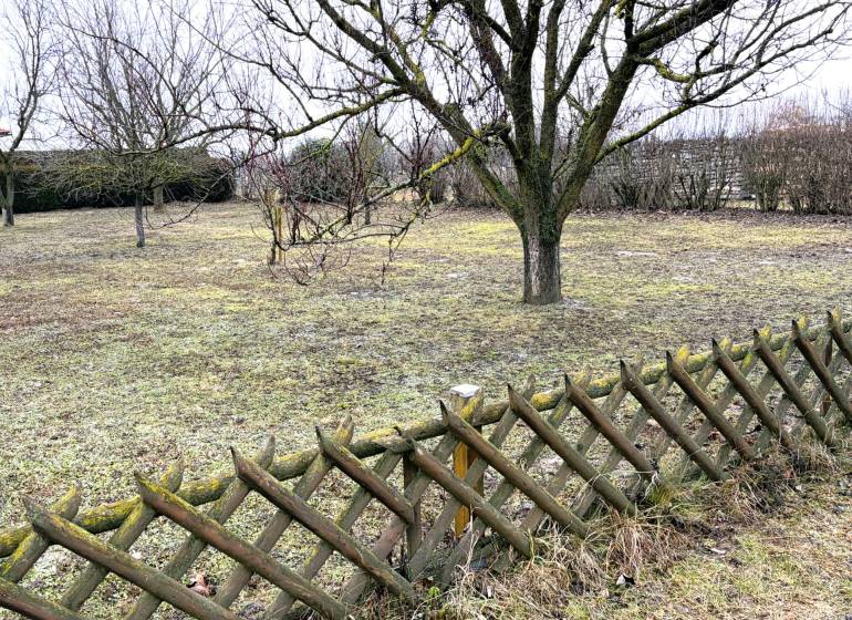 Stavebný pozemok v tichej lokalite , Kittsee - Záhrada v Kittsee s ovocnými stromami a dreveným plotom, vhodné pre Pozemky - bývanie.