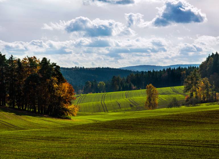 Beša – 4.571 m2 POĽNOHOSPODÁRKA PÔDA a LESY - Zelené poľnohospodárske a lesné pozemky v Beši s kopcovitým horizontom a listnatými stromami.