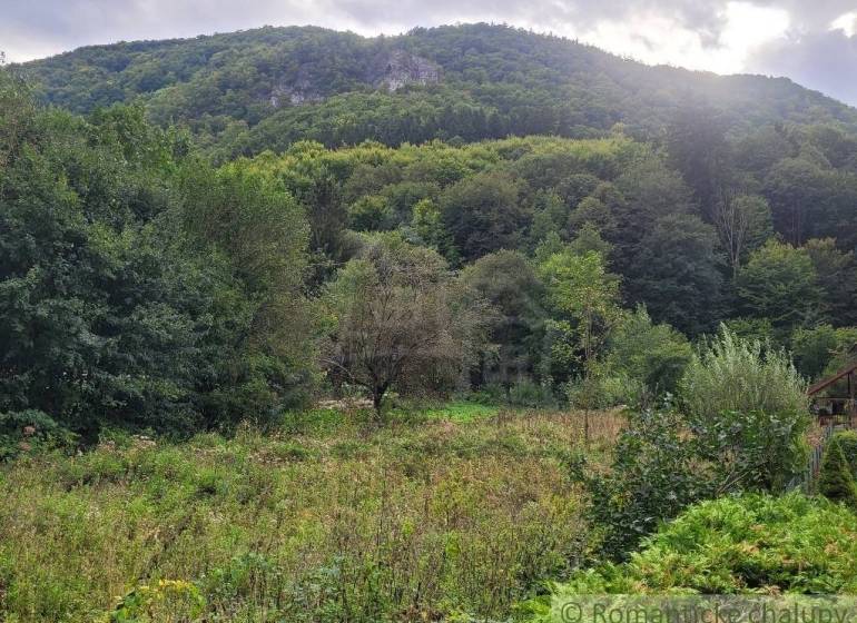 Stavebný pozemok pod lesom končiaci potôčikom v krásnom prírodnom pros - Hustá zelená vegetácia a lesné kopce v pozadí na Rekreačných pozemkoch pri Beluši.