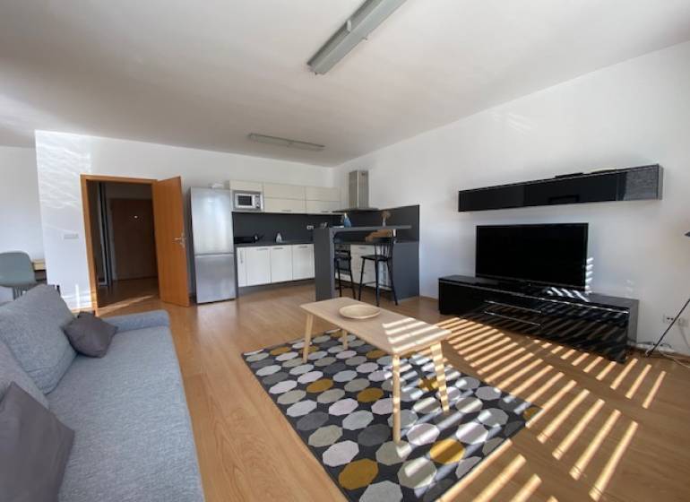 Prenájom 2 izbový 78 m2 + 30 m2 terasa,novostavba Koliba,zariadený - Obývacia izba s kuchynským kútom v 2-izbovom byte, podlaha s dreveným dekorom, svetlý interiér.