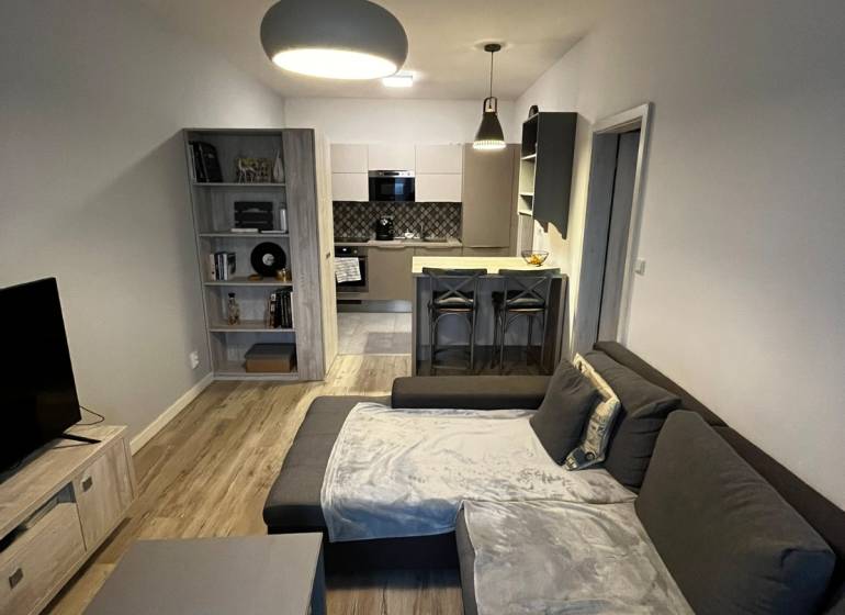 Predáme 2 izb byt v novostavbe v Senci  - Obývačka s kuchyňou v 2-izbovom byte, sivá sedačka, podlaha s dreveným dekorom.