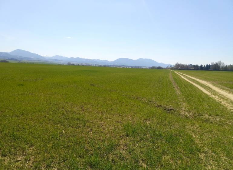 MARTIN- Záturčie pozemok na developerské a komerčné účely 4662 m2 - Rozsiahly zelený pozemok na bývanie s poľnou cestou a horskou panorámou na obzore.