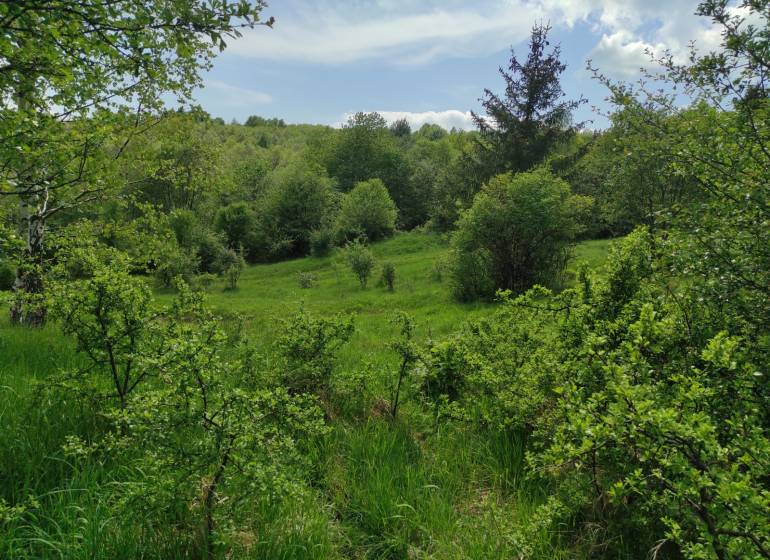 ŠÚTOVO, pozemok 6047m2,okr. MARTIN - Krásna lesnatá krajina s trávnatými plochami, vhodná pre pozemky na bývanie.