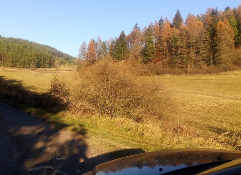 BRIEŠTIE- Hadviga lesný trávnatý pozemok 13 710 m2, vhodný na usadlosť - Krajina s lesnými pozemkami, zelenými lúkami, obklopená hustým lesom a prírodou.