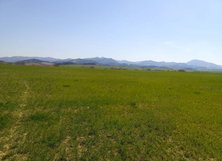MARTIN-Záturčie pozemok o výmere 3310m2 na stavebné účely - Zelené lúky s panorámou hôr lákajú na oddych na rekreačné pozemky.