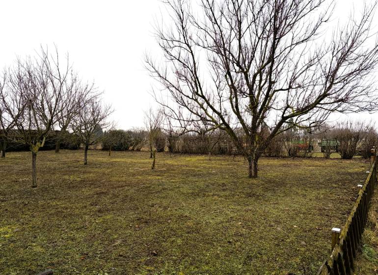 Stavebný pozemok v tichej lokalite , Kittsee - Pozemky - bývanie v Kittsee so stromami a trávnatou plochou, obklopené plotom.