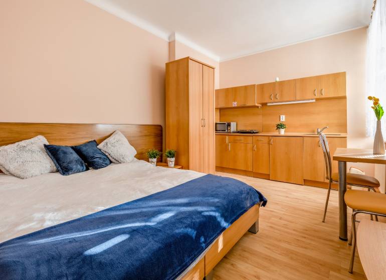 Pekná Garsónka, CENTRUM, REKONŠTRUKCIA,Vajanského nábrežie,Staré Mesto - Garsónka s posteľou, kuchynskou linkou, jedálenským stolom a podlahou s dreveným dekorom.