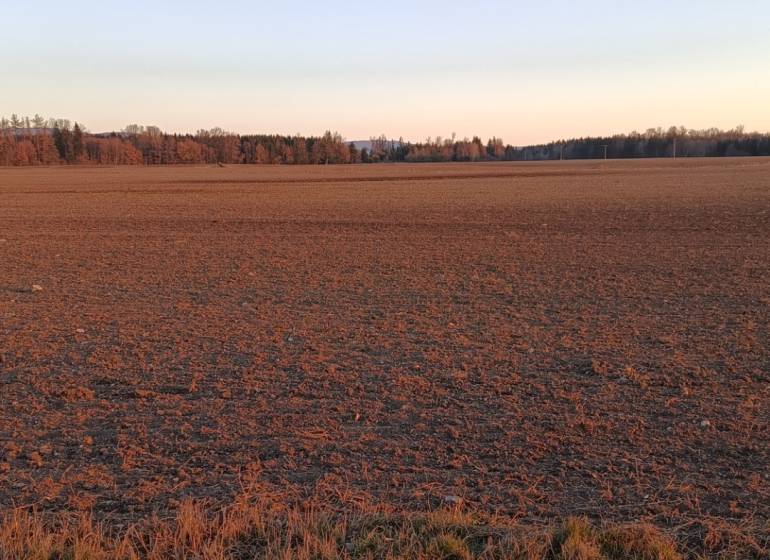 Turčianske Teplice - Diviaky - Orná pôda s výmerou 5571 m2 - Plocha pole za úsvitu, na ulici Prievidzká, pozemky - komerčné, s lesným pozadím.