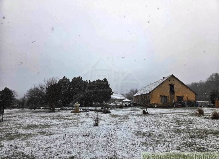 27130m2 samota obklopená lesom - Šalov, okres Levice - Snehom pokrytá chata v Šalove obklopená stromami a zimnou krajinou.
