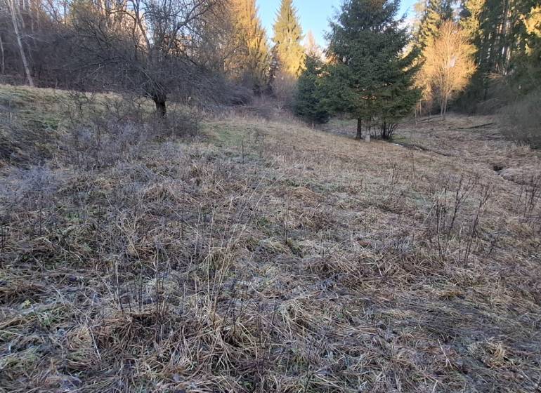 Rekreačný pozemok Čadca - Rekreačné pozemky v okolí Čadce s trávnatým porastom a lesným okrajom.