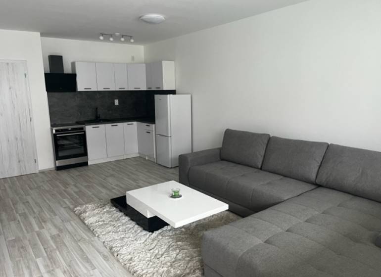 NOVÝ ZARIADENÝ KRÁSNY BYT S TERASOU - Obývačka v 1-izbovom byte na ulici Muškátová, obsahuje kuchyňu, šedú sedačku a biely stolík.