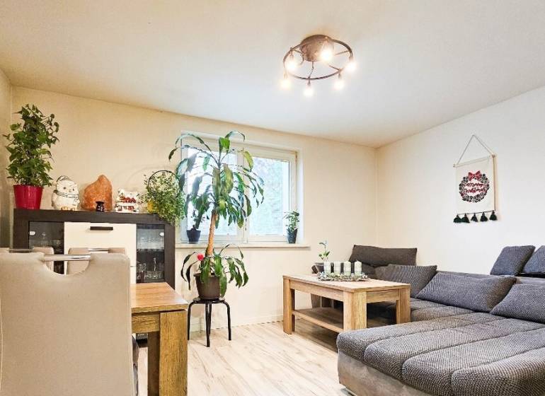 Rodinný dom v obci Bernolákovo, po kompletnej rekonštrukcii - Obývacia izba s pohovkou, jedálenským stolom, izbovými rastlinami a podlahou s dreveným dekorom.