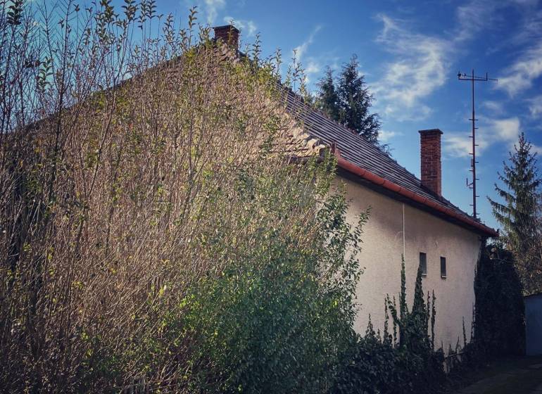 HORNÉ CHLEBANY - rodinný dom hneď k nasťahovaniu - Rodinný dom v Horných Chlebanoch obklopený hustou zeleňou a hustými stromami.