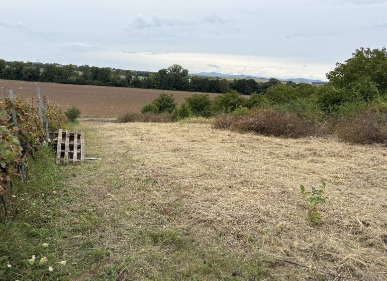 Predaj investičného pozemku – Zvončín - Záhrady v Zvončíne ponúkajú výhľad na lúky a polia v oblasti Zvončín.