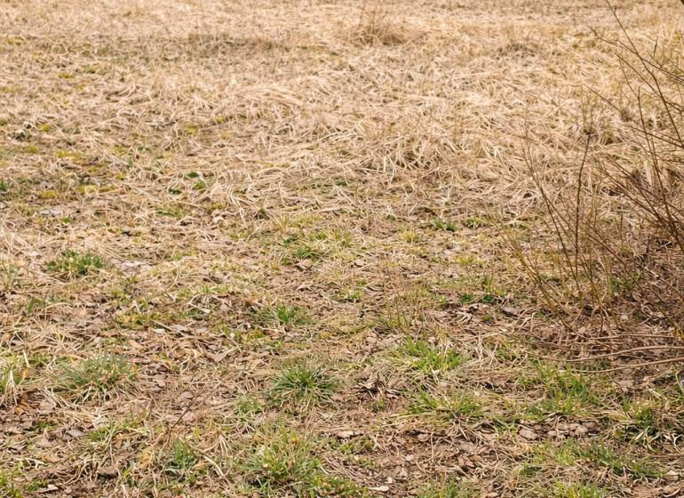 Stavebný pozemok Korňa – 822 m², siete pri pozemku - Stavebný pozemok v Korni vhodný na bývanie, obklopený prírodou a jemne zvlneným terénom.