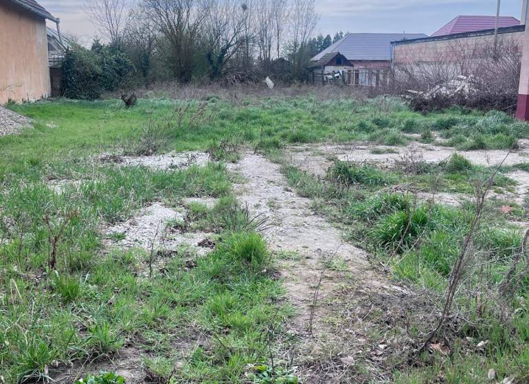 Stavebný pozemok na predaj - Tvrdošovce  - Stavebný pozemok v Tvrdošovciach na bývanie s trávnatou plochou a roztrúsenými kríkmi.