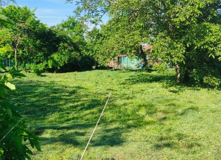 Slnečný stavebný pozemok v tichom srdci Dolného Dubového - Trávnaté pozemky pre bývanie v Dolnom Dubovom s bohatou zeleňou a stromami.