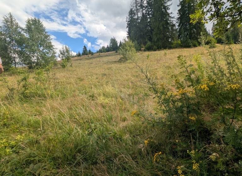 Stavebný pozemok kúsok od lyžiarskych vlekov Čierny Balog - Bexeľ - Pozemok - bývanie v Čiernom Balogu s lúkami a stromami pod oblačnou oblohou.