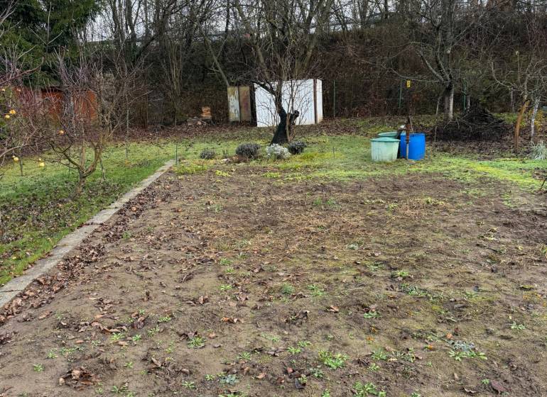 Záhrada Levice - Podhradie 311m2 - Záhrada v Leviciach na ulici Podhradie s trávnikom, stromami a malou šopou.