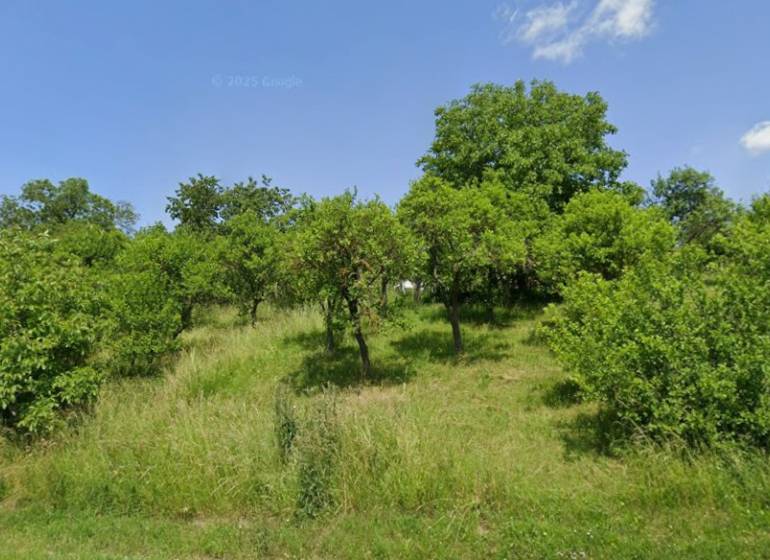 OVOCNÝ SAD, RUDNÍK - OKRES MYJAVA - Zelené poľnohospodárske a lesné pozemky v Rudníku s množstvom stromov a kríkov.