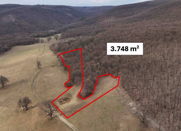 Príbelce – 3.748 m2 Lesný pozemok - Poľnohospodárske a lesné pozemky v okolí Príbeliec s vyznačenou plochou 3.748 m².