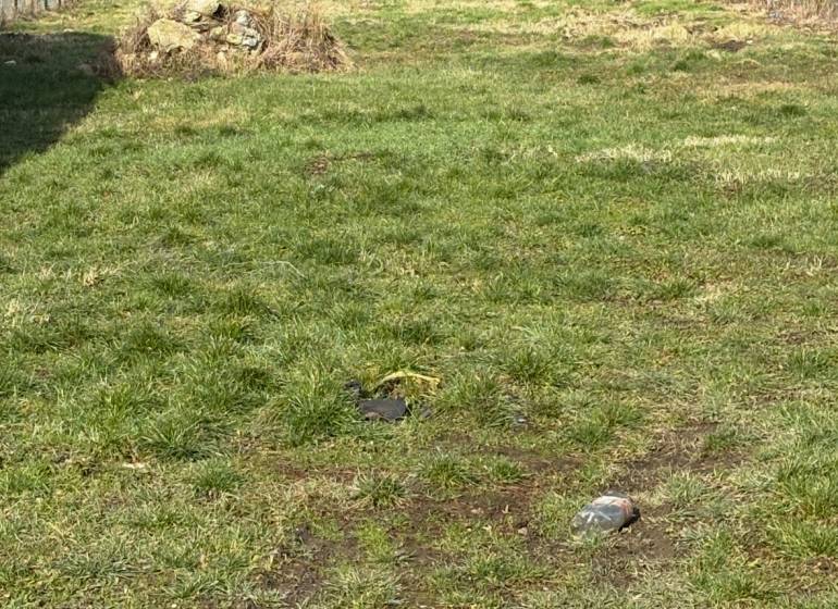 Stavebný pozemok v Michalovciach - pod HRÁDKOM - 733 m2 - Pozemok pre bývanie v Michalovciach s trávnatým porastom a oplotením.