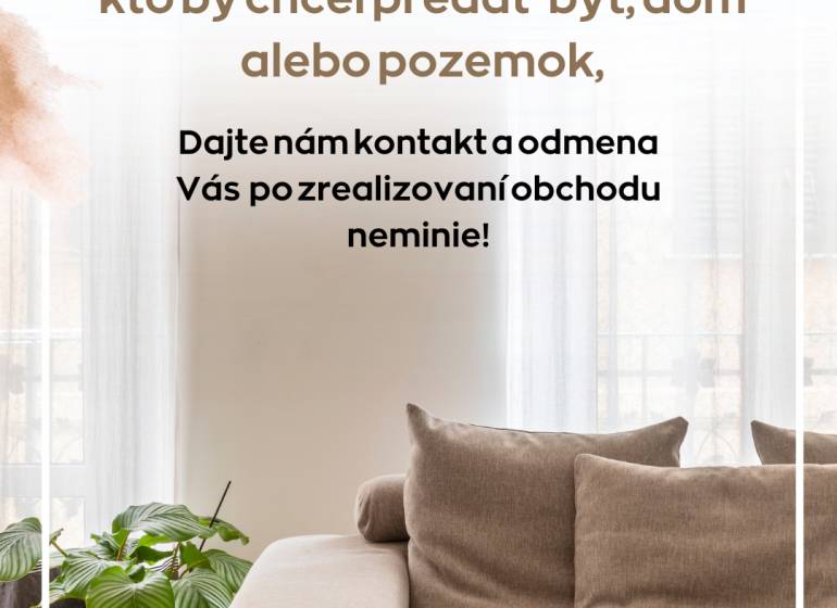 Hľadáme rodinné domy v okolí Nitry. Ponúknite!  - Svetlá obývačka s pohodlnou sedačkou a rastlinou, 2-izbový byt s podlahou s dreveným dekorom.