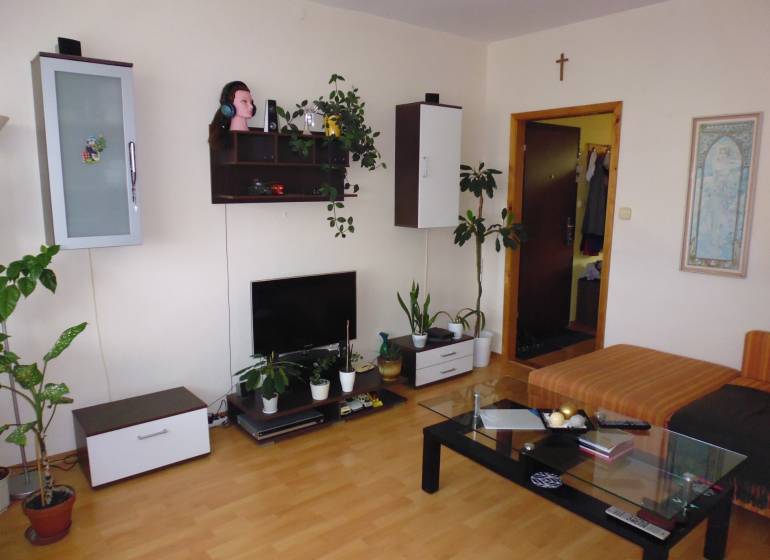 PRENÁJOM: M.NEŠPORA - 2-izbový byt, 58 m2, 7.posch. - Sídlisko III. - Obývačka v 2-izbovom byte s podlahou s dreveným dekorom, policami a rastlinami.