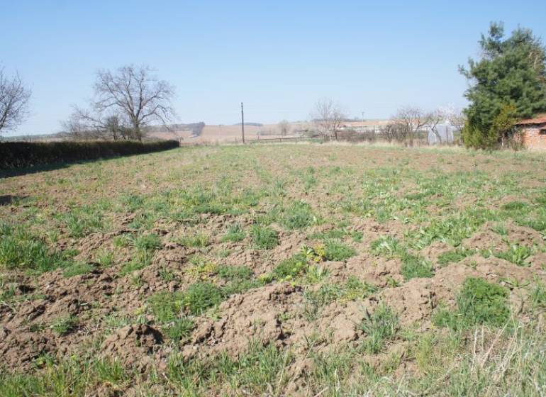 Pozemok v obci Koniarovce v slepej uličke - Pozemok so zeleňou a okolím. Ideálny pre bývanie a relaxačné aktivity.