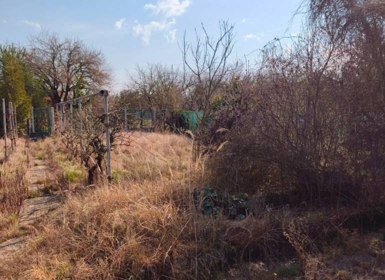 Záhrada na Žabom majeri, Rača - Trávnaté záhrady na Žabom majeri v Bratislave - Rači s kríkmi a chodníkom.