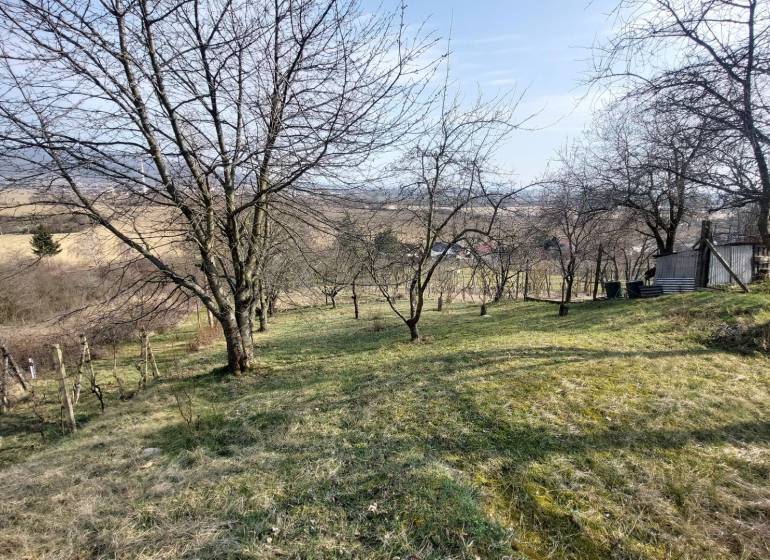 PREDAJ - VINICA - ZLATÉ MORAVCE - Vinice v Zlatých Moravciach s výhľadom, stromy a trávnatý pozemok.