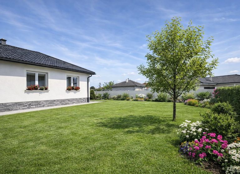 PREDAJ: Rodinný dom po rekonštrukcii /700 m2 pozemok/ Zemianska Olča - Rodinný dom v Zemianskej Olči s udržiavanou záhradou a kvetinovým záhonom.