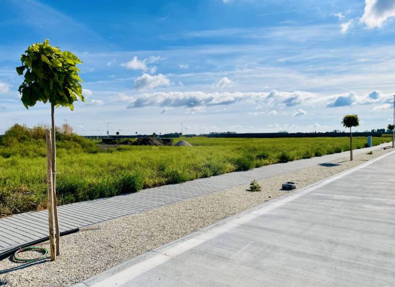 DUNAJSKÁ STREDA – SLNEČNÉ STAVEBNÉ POZEMKY NA PREDAJ V PROJEKTE VINICA - Krajinom okolo Dunajskej Stredy sa tiahne pozemok na bývanie s chodníkom a stromami.
