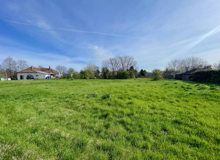 OKOČ – POZEMOK NA PREDAJ V CENTRE DEDINY - Zeleň na pozemku pre bývanie v obci Okoč za slnečného dňa.