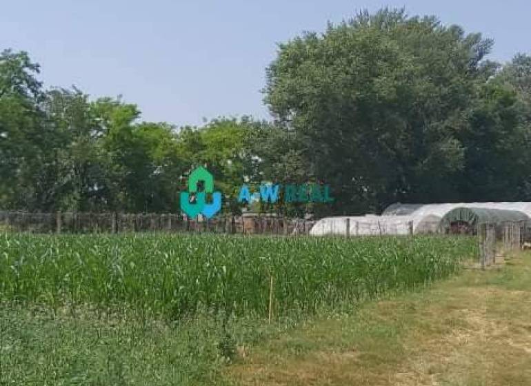 Krásny veľký pozemok v tichej časti obce Ňárad - Záhrada na ulici neuvedené s pozemkom vhodným na bývanie a pestovanie.