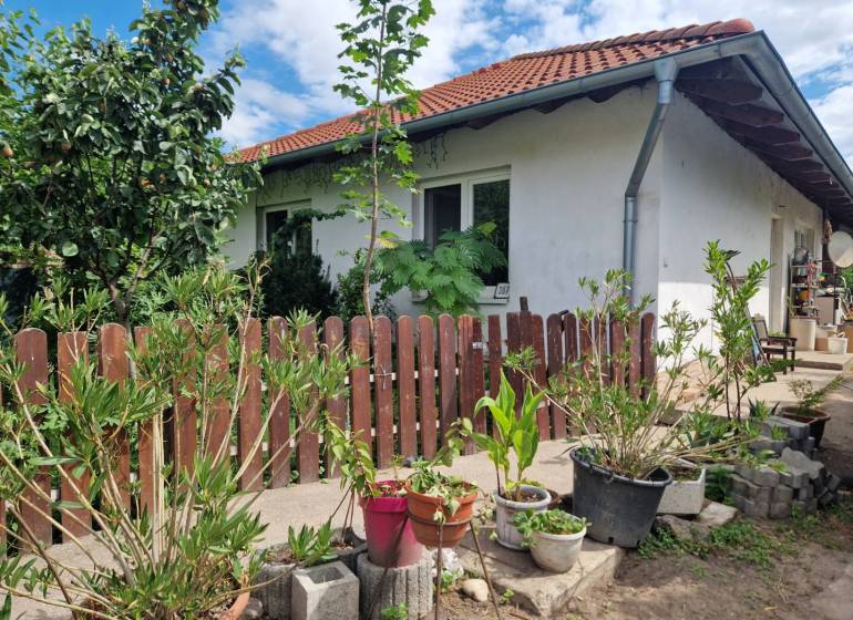 Na predaj 3 izbový rodinný dom s veľkým pozemkom - Rodinný dom v Dolnom Štáli s dreveným plotom a záhradnými rastlinami.