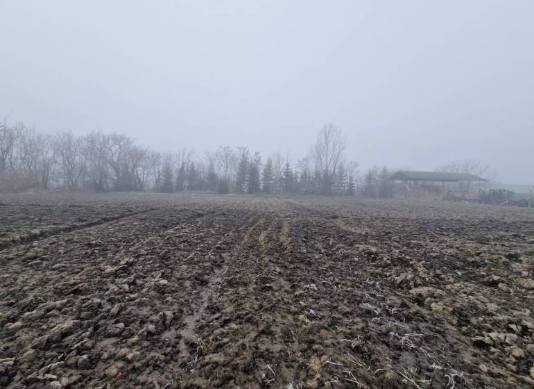 Pozemok-Bohelov - Hmla nad čerstvo zoraným poľom s prístreškom v Boheľove, zvláštna nehnuteľnosť.